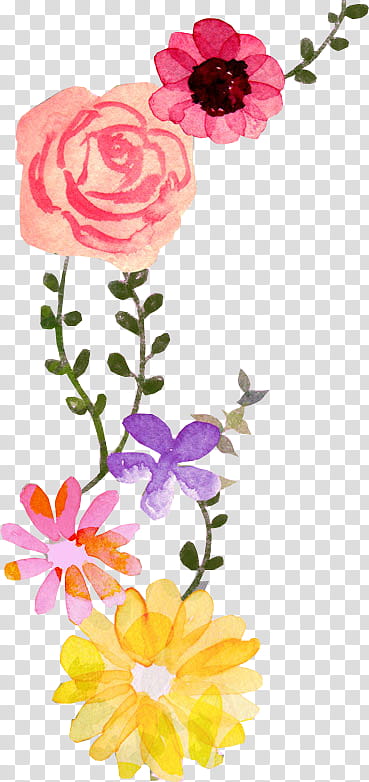 Oil Painting Flower, Watercolor Flowers, Garden Roses, Watercolor Painting, Drawing, Floral Design, Petal, Cut Flowers transparent background PNG clipart