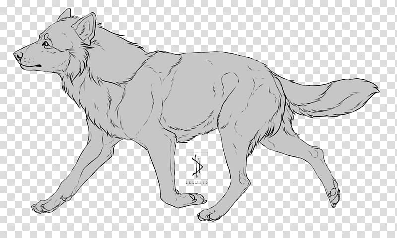Free-Use: Canine Lineart [PSD+], gray wolf illustration transparent background PNG clipart