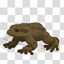 Spore creature Common frog  transparent background PNG clipart