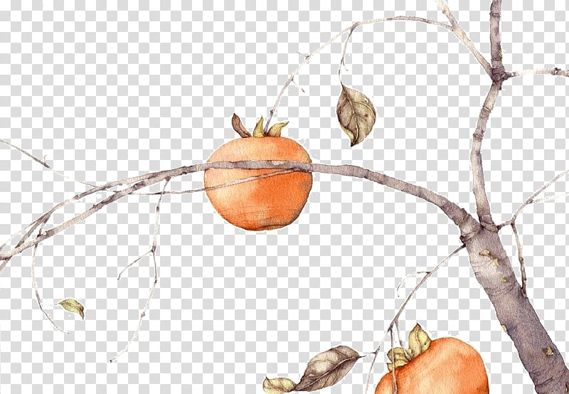 , orange fruits and gray tree painting transparent background PNG clipart