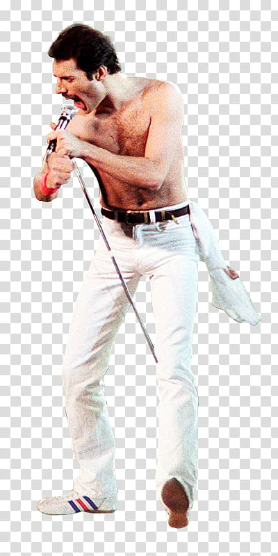 Freddie Mercury transparent background PNG clipart