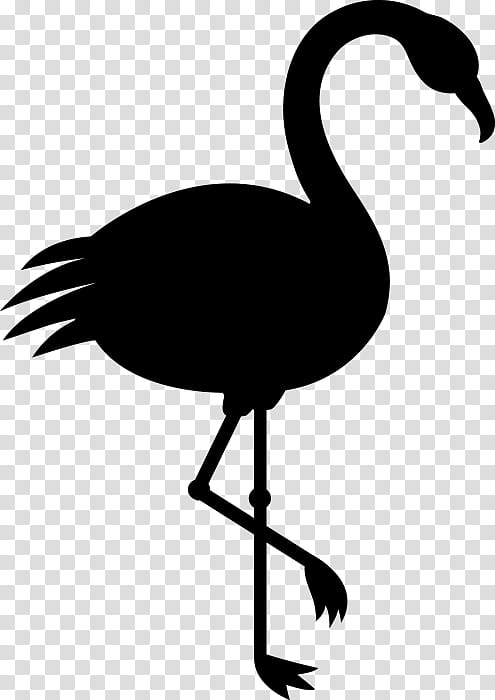 Flamingo Silhouette, Creativity, Bird, Beak, Water Bird, Goose, Ducks Geese And Swans, Tail transparent background PNG clipart