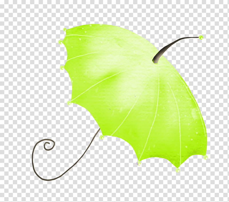 Rainbow Color, Purple, Violet, Cartoon, Umbrella, Green, Leaf, Plant transparent background PNG clipart