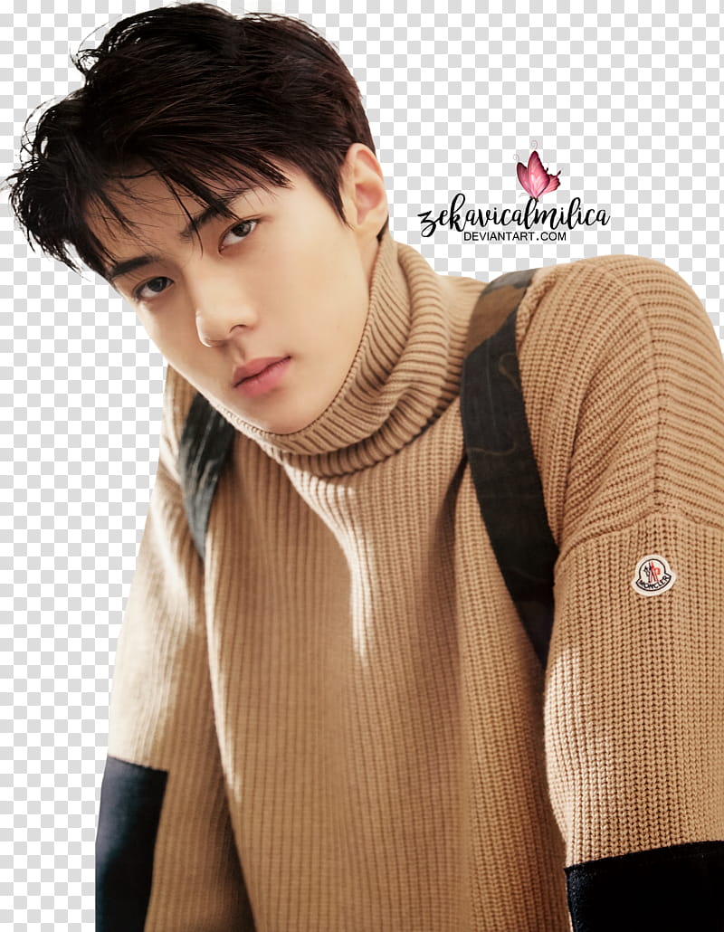 EXO Sehun LEON, man in brown sweater transparent background PNG clipart