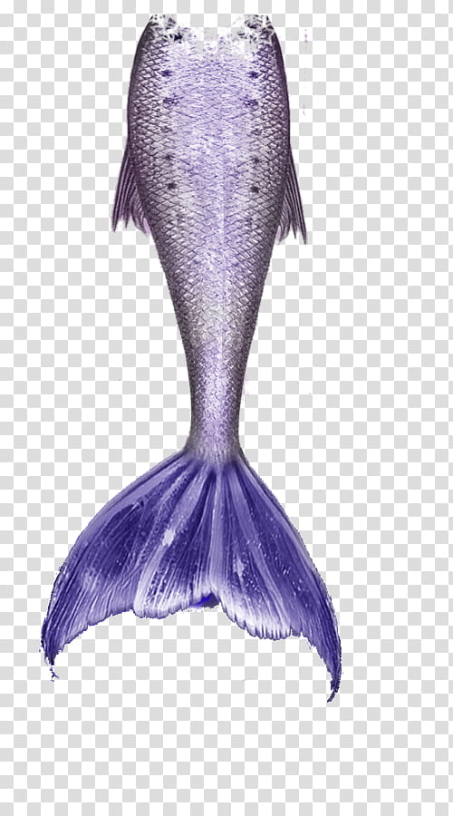 Mermaid Tail, gray and purple mermaid tail costume transparent background PNG clipart