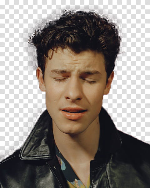 Shawn Mendes, Nick Robinson transparent background PNG clipart