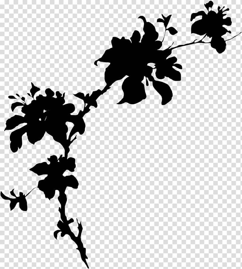 Black And White Flower, Black White M, Leaf, Floral Design, Plant Stem, Petal, Silhouette, Line transparent background PNG clipart