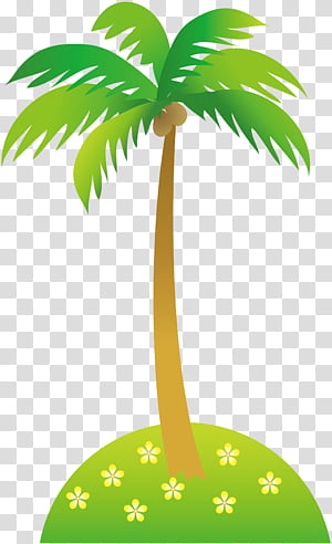 Coconut Tree, Palm Trees, Text, Hoenn, Plants, Brain, Arecales, Woody Plant transparent background PNG clipart thumbnail