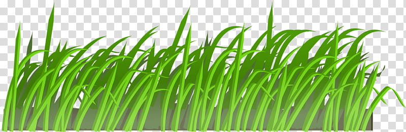 Green Grass, Lawn, Coloring Book, Lawn Mowers, Grasses, Cartoon, Wheatgrass, Plant transparent background PNG clipart