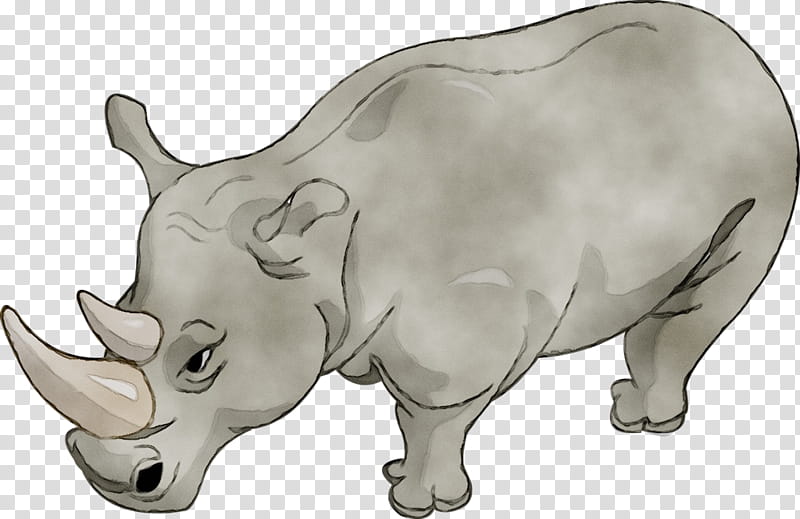 Rhinoceros Rhinoceros, Animation, Drawing, Cartoon, Horn, Cattle, Hippopotamus, Animal transparent background PNG clipart