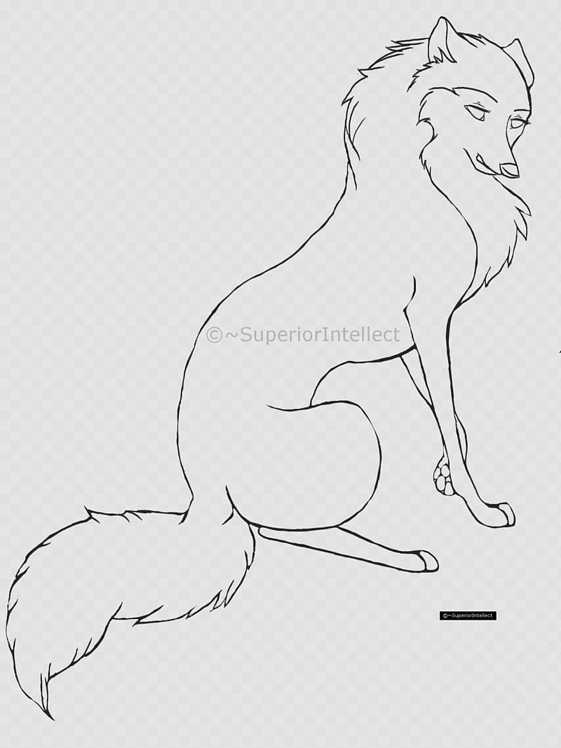 Cartoon wolf or dog line art, wolf sketch transparent background PNG clipart