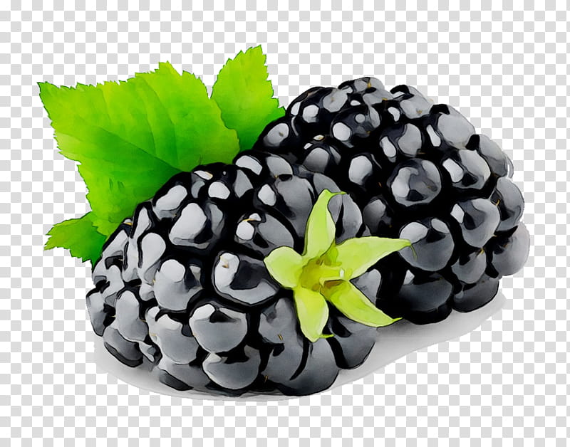 Fruit, Cobbler, Blackberry, Raspberry, Berries, Brambles, Dewberry, Black Mulberry transparent background PNG clipart