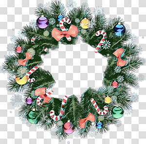 Family Tree Design, Christmas Ornament, Wreath, Christmas Day, Christmas Decoration, Oregon Pine, Colorado Spruce, Plant transparent background PNG clipart thumbnail