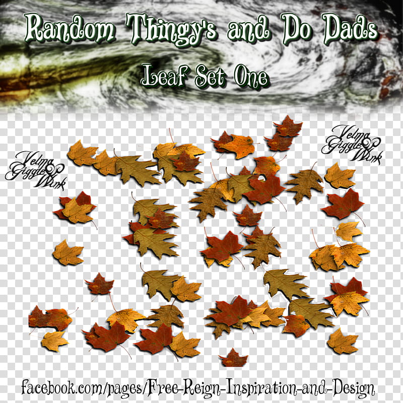 Thingy and Do Dads Leaf Set One transparent background PNG clipart