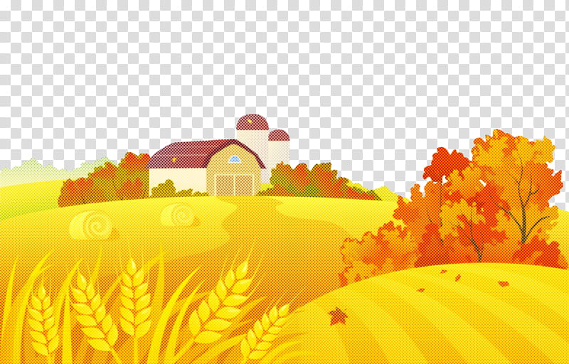 Orange, Yellow, Nature, Sky, Landscape, Field, Plant, Flower transparent background PNG clipart