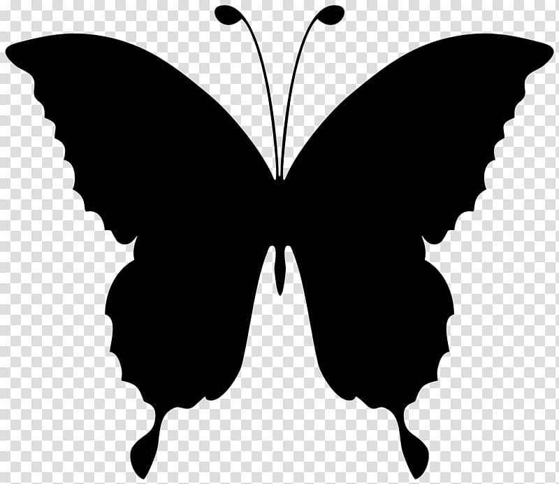 Monarch Butterfly Drawing, Glasswing Butterfly, Silhouette, Moths And Butterflies, Black, Insect, Swallowtail Butterfly, Blackandwhite transparent background PNG clipart