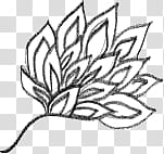 Doodling s, white flower illustration transparent background PNG clipart