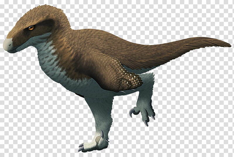 Bird, Utahraptor, Velociraptor, Ceratosaurus, Cetiosaurus, Proceratosaurus, Dromaeosaurids, Theropods transparent background PNG clipart