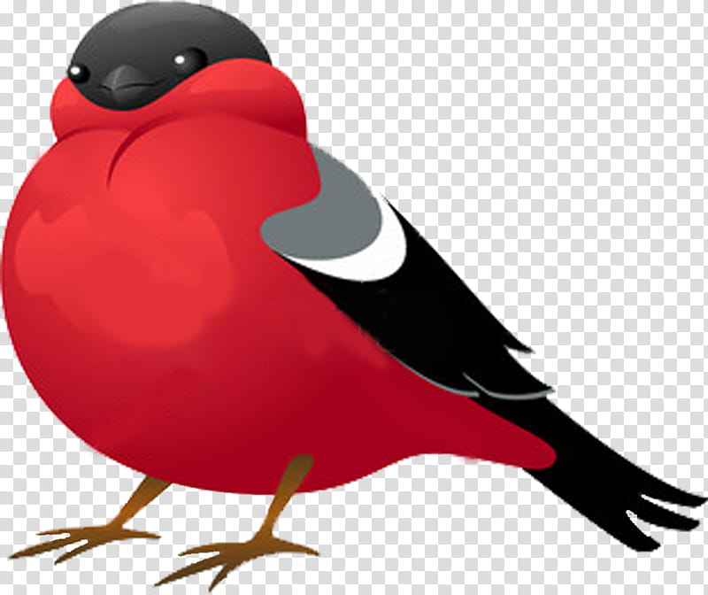 Cardinal Bird, Eurasian Bullfinch, Beak, Red, Wing transparent background PNG clipart