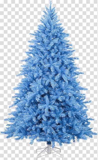 Christmas tree, Shortleaf Black Spruce, Balsam Fir, Colorado Spruce, White Pine, Yellow Fir, Oregon Pine, Blue transparent background PNG clipart