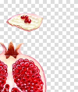 https://p1.hiclipart.com/preview/922/614/346/lemonade-pomegranate-pomegranate-juice-food-slush-apple-juice-flavor-aguas-frescas-png-clipart-thumbnail.jpg