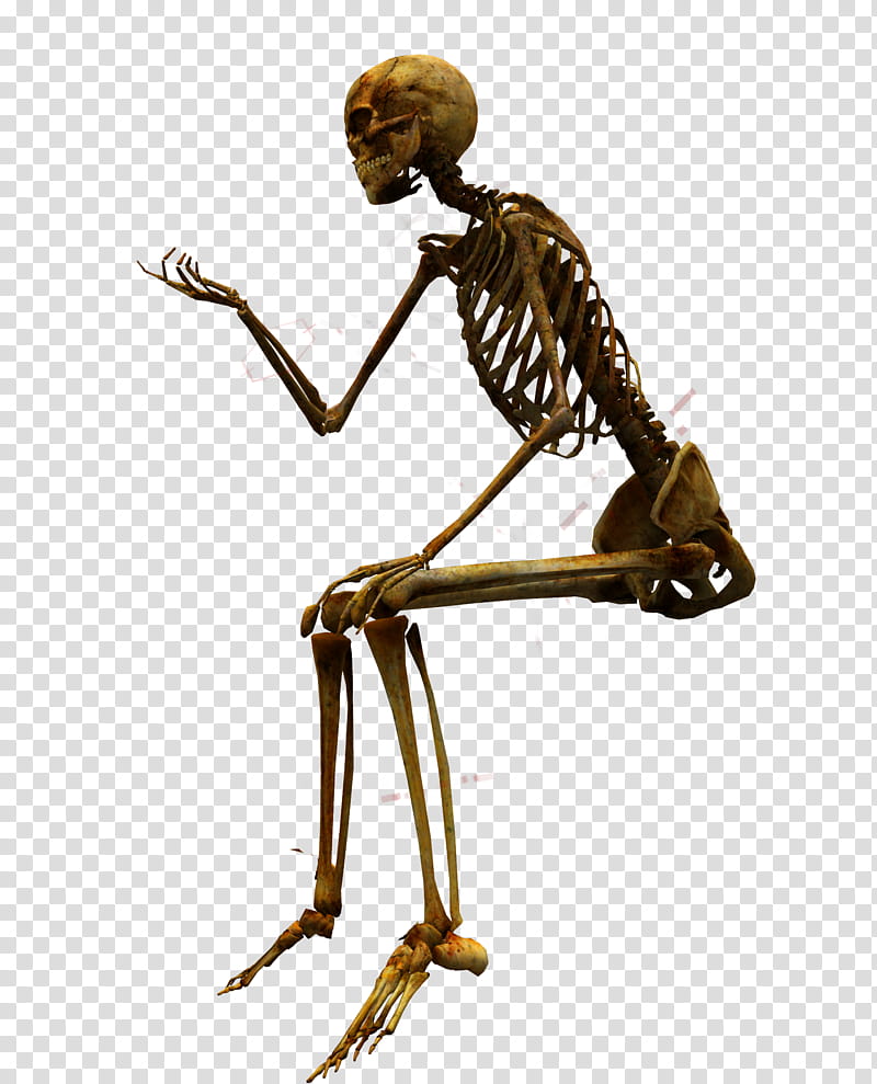 E S Bones I, brown skeleton transparent background PNG clipart