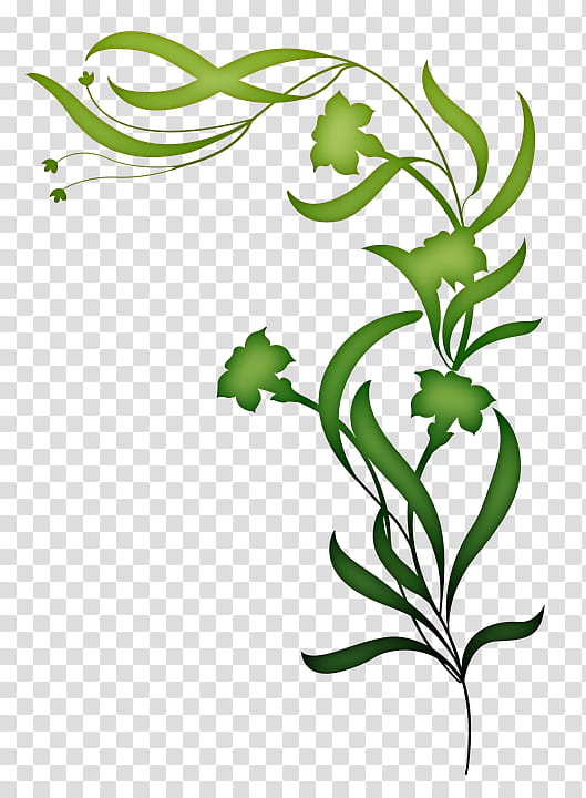 Flower Line Art, Decorative Borders, Borders , Drawing, Floral Design, Plant, Leaf, Green transparent background PNG clipart