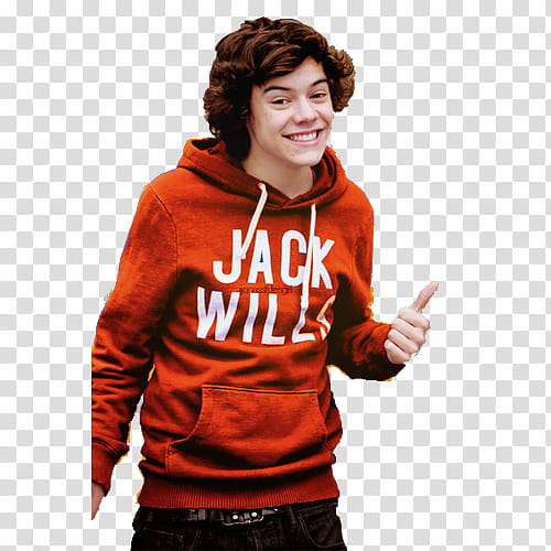 Harry Styles transparent background PNG clipart