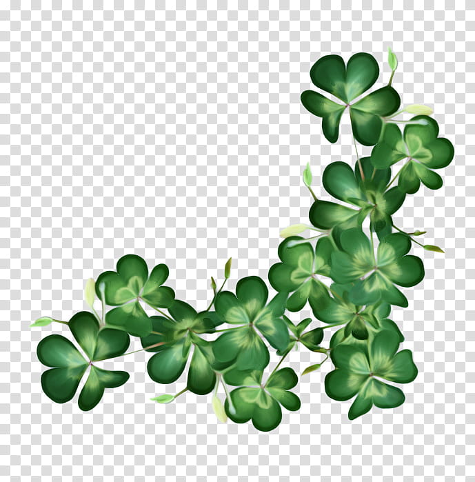Saint Patricks Day, Shamrock, Leprechaun, Clover, Fourleaf Clover, Irish People, Ireland, Green transparent background PNG clipart