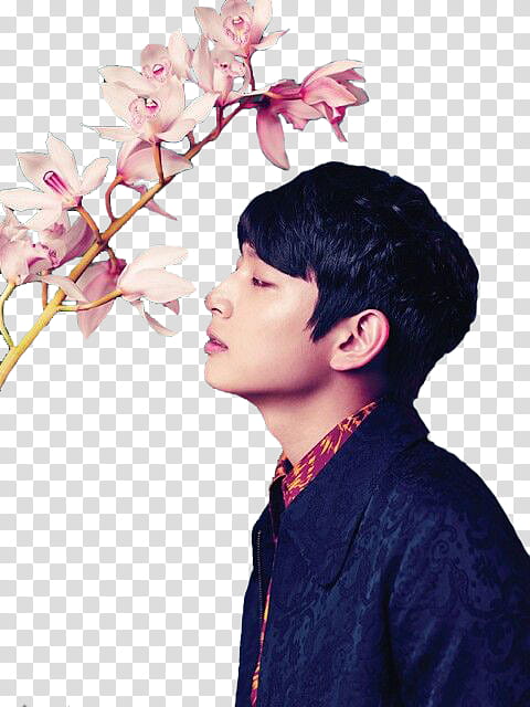 Jeong Jinwoon transparent background PNG clipart