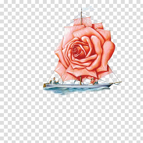 sailing, pink flowers and boat illustration transparent background PNG clipart