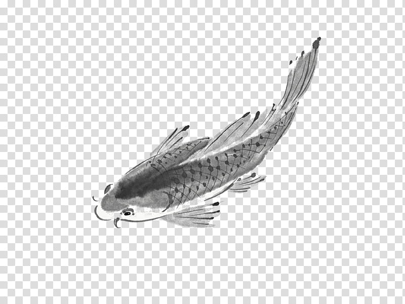 Chinese style , gray fish illustration transparent background PNG clipart