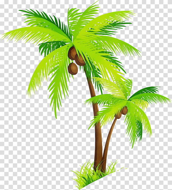 Coconut Tree Drawing, Watercolor, Paint, Wet Ink, Palm Trees, Date Palm, , Web Design transparent background PNG clipart