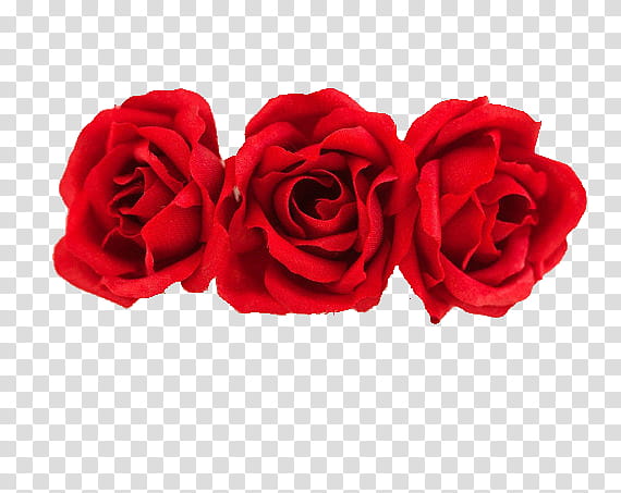 Red Flowers, three red roses transparent background PNG clipart