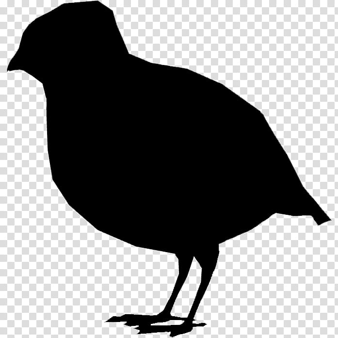 Bird Silhouette, Drawing, Cartoon, Beak, Crow, Blackbird, Crowlike Bird, Blackandwhite transparent background PNG clipart