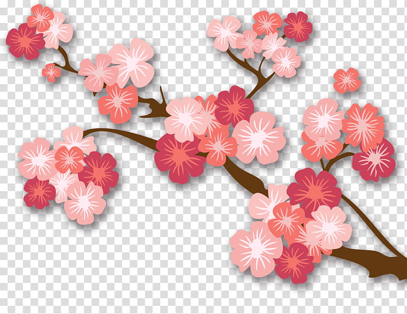 Cherry Blossom, Japan, National Cherry Blossom Festival, Cherries, Flower, Pink, Petal, Pink Family transparent background PNG clipart
