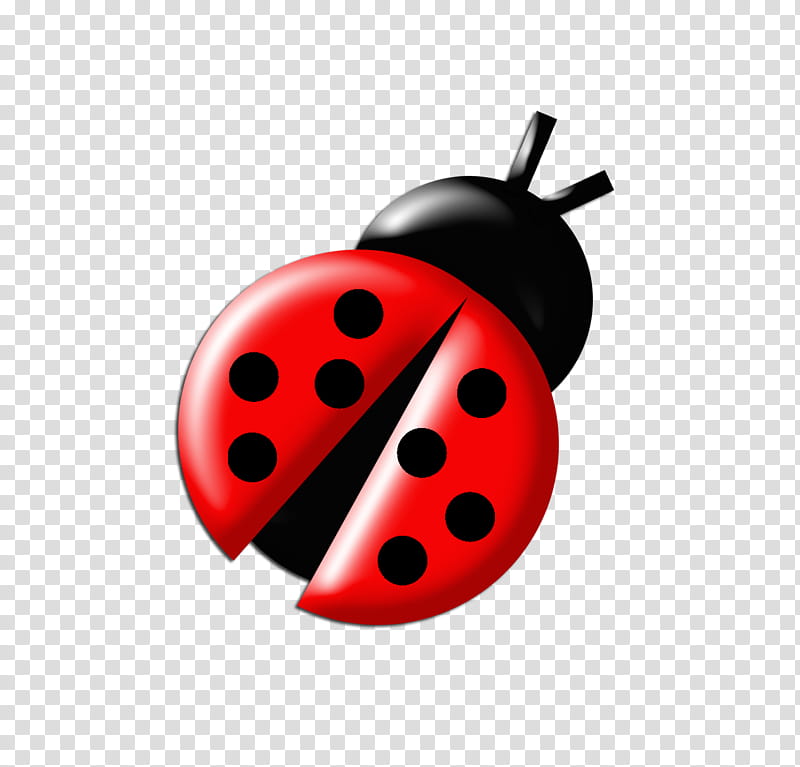 Ladybugs Colours, red and black ladybug transparent background PNG clipart