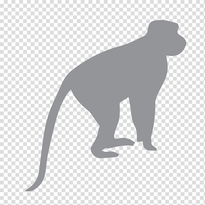 Dog And Cat, Ape, Chimpanzee, Monkey, Evolution, Human, 2018, Black transparent background PNG clipart