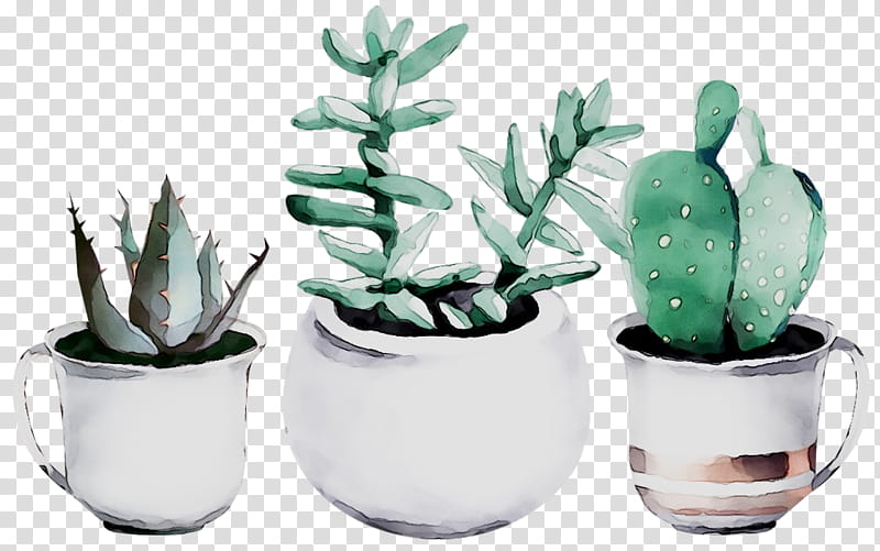 Watercolor Flower, Cactus, Succulent Plant, Watercolor Painting, Drawing, Art Museum, Flowerpot, Vase transparent background PNG clipart