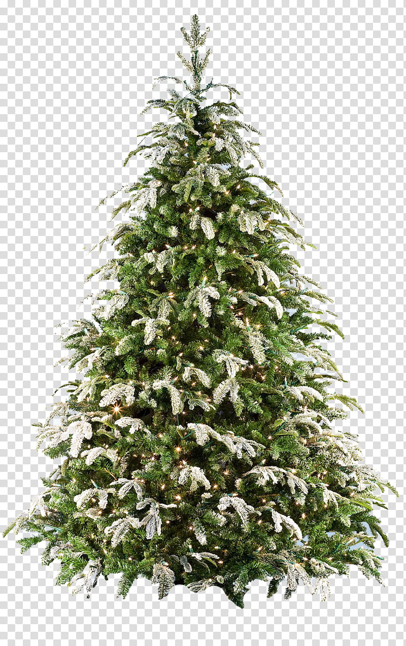 Xmas tree , green and white Christmas tree decor transparent background PNG clipart