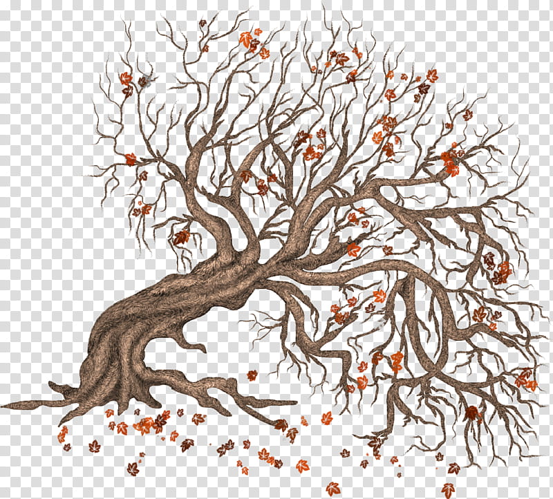 Autumn Winter trees, brown bare tree transparent background PNG clipart