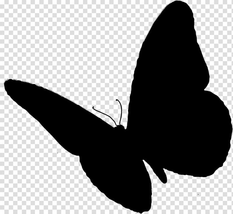 Cartoon Nature, Butterfly, Insect, Animal, Borboleta, Moth, Lepidoptera, Black transparent background PNG clipart