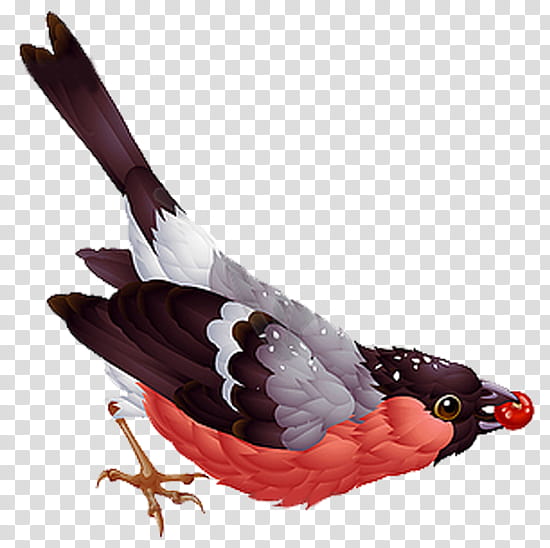 Christmas Card, Eurasian Bullfinch, Christmas Day, Bird, Wing, Beak, Feather, Cuckoo transparent background PNG clipart