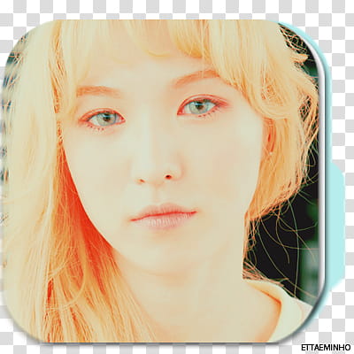 Red Velvet Folder Icon transparent background PNG clipart