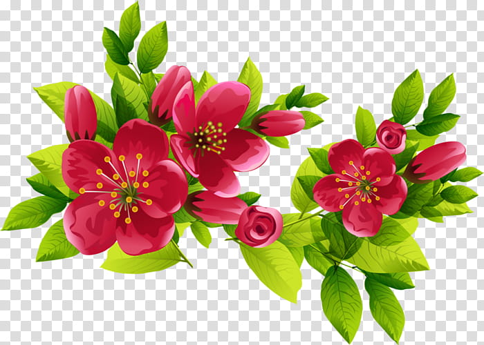 Flowers, BORDERS AND FRAMES, Decorative Borders, Paper, Floral Design, Ornament, Letter, Cut Flowers transparent background PNG clipart