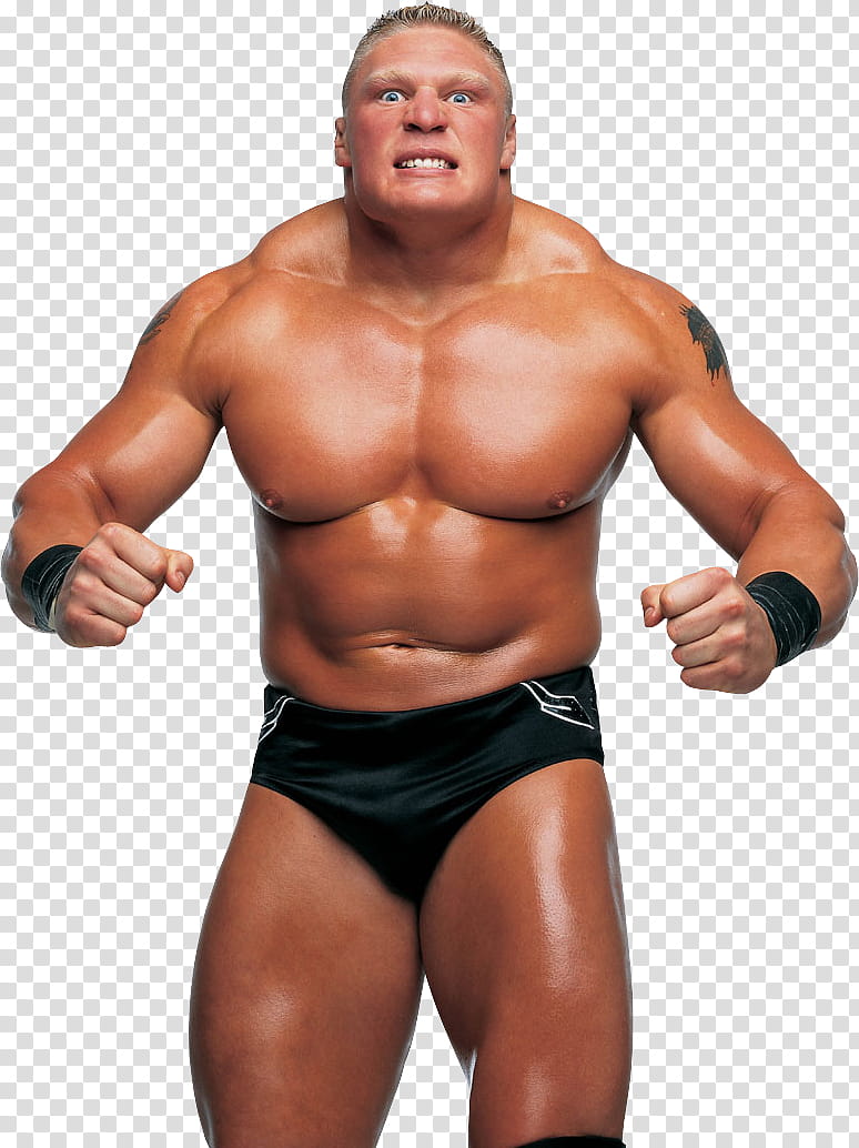 Brock Lesnar tattoos What does the ink on his chest and back mean