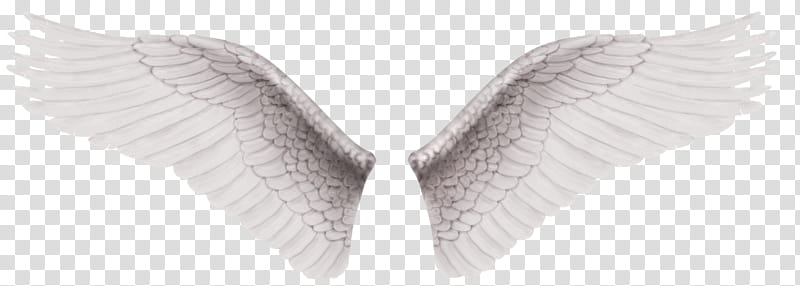 Recursos Alas De Angel , two white wings illustration transparent background PNG clipart