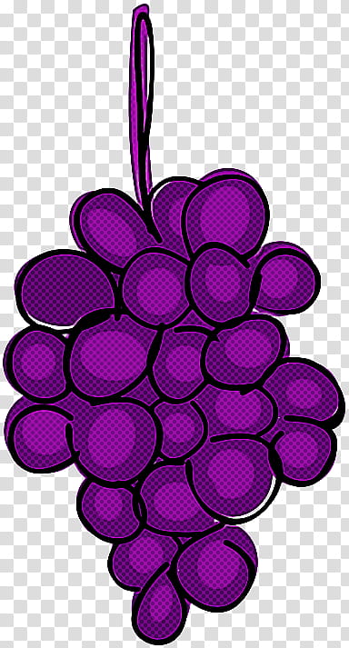 grape violet purple grapevine family vitis, Magenta, Plant, Circle, Seedless Fruit transparent background PNG clipart