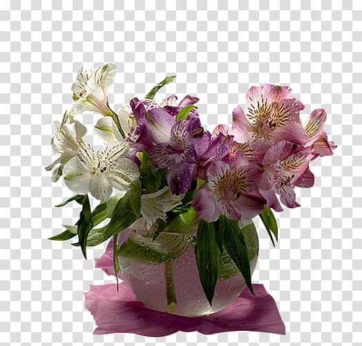 Lily Flower, Floral Design, Vase, Flower Bouquet, Cut Flowers, Lily Of The Incas, Floristry, Artificial Flower transparent background PNG clipart