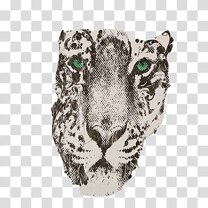 Glamorous, black and white leopard face sketch transparent background PNG clipart